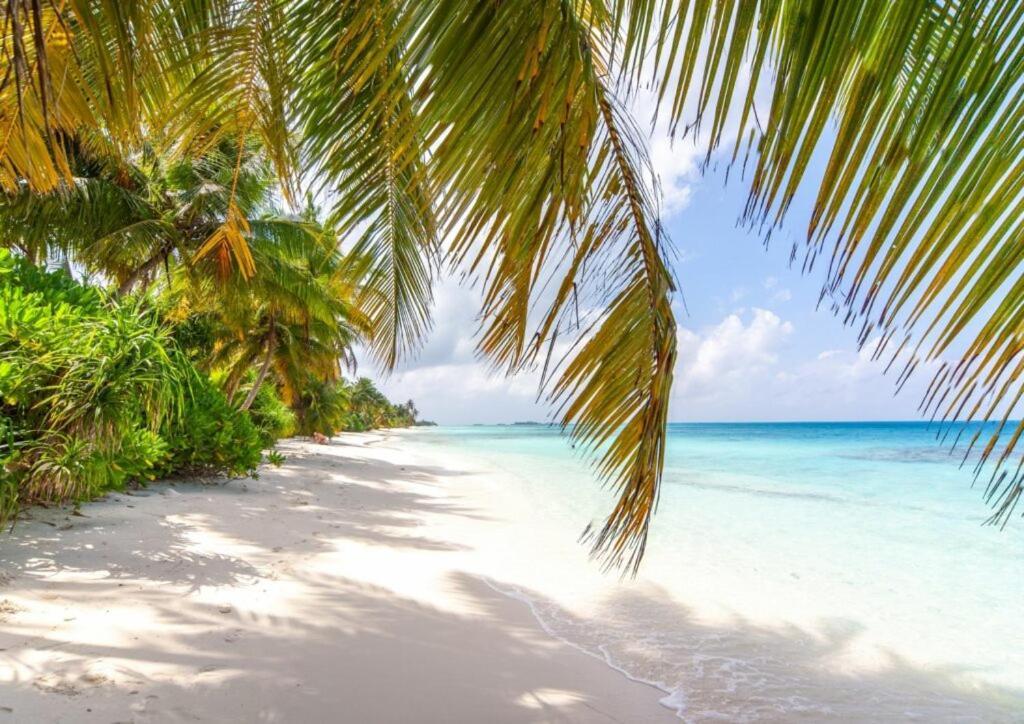Unwind Dhigurah Hotel Digura Kültér fotó