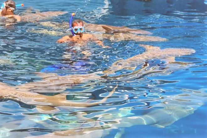 Unwind Dhigurah Hotel Digura Kültér fotó